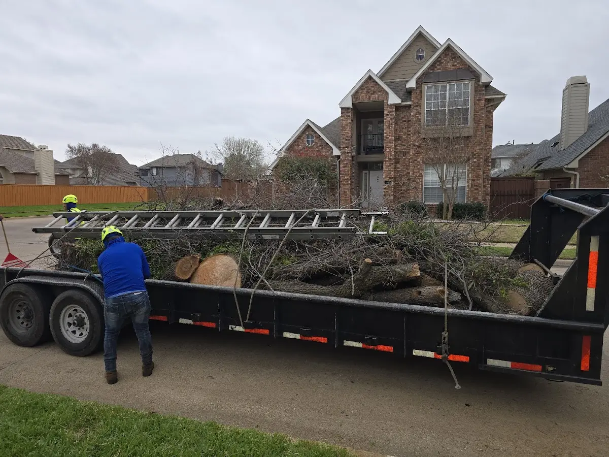 Expert Tree Pest Control with proper safety equipment in Kansas